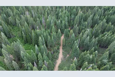 19372 Marsh Mill Road, Nevada City, CA 95959 - Photo 4