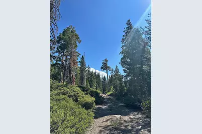 19611 Marsh Mill Road, Nevada City, CA 95959 - Photo 14