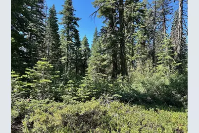 19231 Marsh Mill Road, Nevada City, CA 95959 - Photo 10