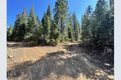 19231 Marsh Mill Road, Nevada City, CA 95959 - Photo 20