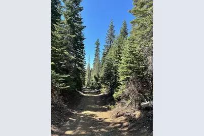 19231 Marsh Mill Road, Nevada City, CA 95959 - Photo 8