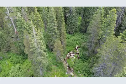 19231 Marsh Mill Road, Nevada City, CA 95959 - Photo 24