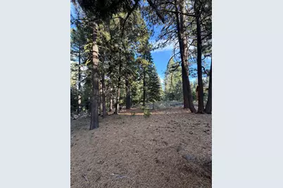 11853 Saddleback Drive, Truckee, CA 96161 - Photo 6