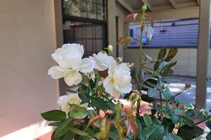 22204 Spruce St, Floriston, CA 96111 - Photo 6