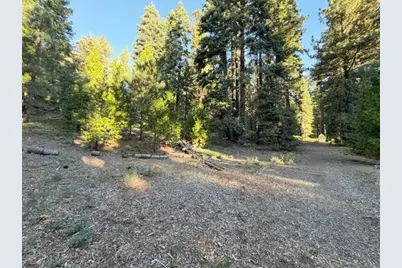 425 Upper Road, Tahoe City, CA 96145 - Photo 4