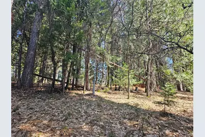 19344 Louis Road, Grass Valley, CA 95945 - Photo 28