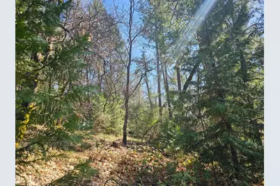 19344 Louis Road, Grass Valley, CA 95945 - Photo 26