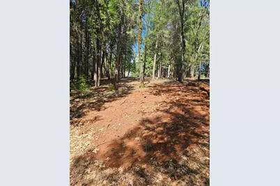 19344 Louis Road, Grass Valley, CA 95945 - Photo 30