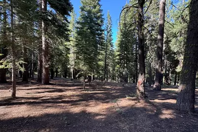 11710 Tundra Drive, Truckee, CA 96161 - Photo 1