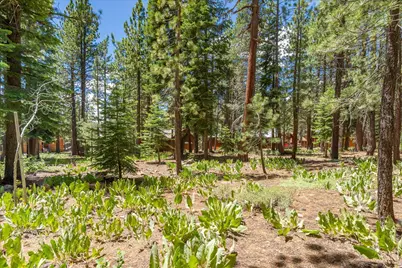 11921 Oslo Drive, Truckee, CA 96161 - Photo 1