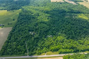 6599 US Hwy 36, Saint Paris, OH 43072 - Photo 48