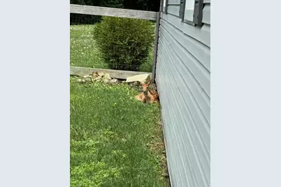 1918 Devon Drive, Springfield, OH 45503 - Photo 50