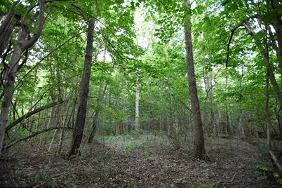 0 County Road 10, Bellefontaine, OH 43311 - Photo 28