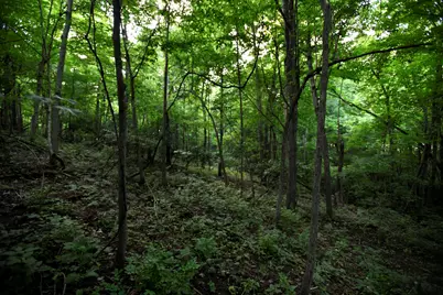 0 County Road 10, Bellefontaine, OH 43311 - Photo 54
