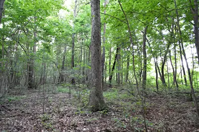 0 County Road 10, Bellefontaine, OH 43311 - Photo 26