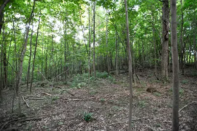 0 County Road 10, Bellefontaine, OH 43311 - Photo 24