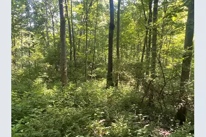 0 Stephen Young, Camden, OH 45311 - Photo 34