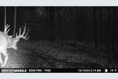 0 Stephen Young, Camden, OH 45311 - Photo 66