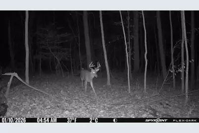 0 Stephen Young, Camden, OH 45311 - Photo 62