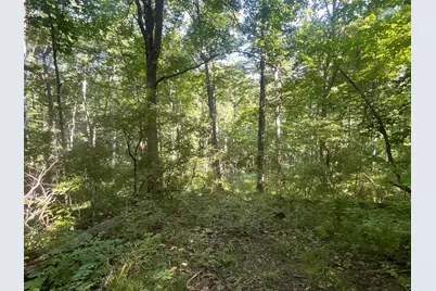 0 Stephen Young, Camden, OH 45311 - Photo 30