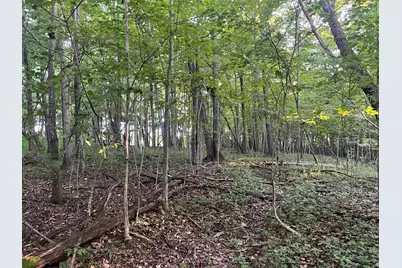 6575 Township Road 137, Rushsylvania, OH 43347 - Photo 18