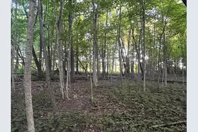 6575 Township Road 137, Rushsylvania, OH 43347 - Photo 26