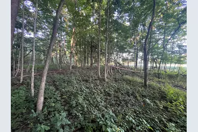 6575 Township Road 137, Rushsylvania, OH 43347 - Photo 32
