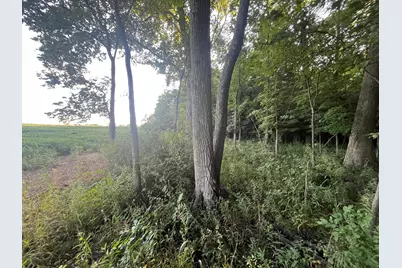 6575 Township Road 137, Rushsylvania, OH 43347 - Photo 36