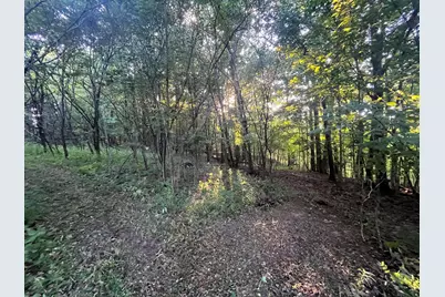 6575 Township Road 137, Rushsylvania, OH 43347 - Photo 14
