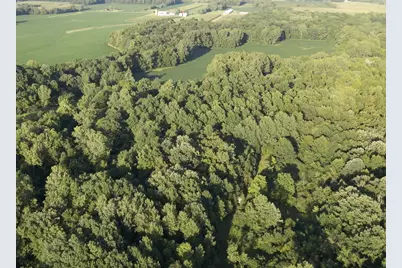 6575 Township Road 137, Rushsylvania, OH 43347 - Photo 8
