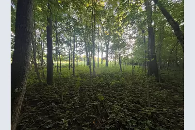 6575 Township Road 137, Rushsylvania, OH 43347 - Photo 30