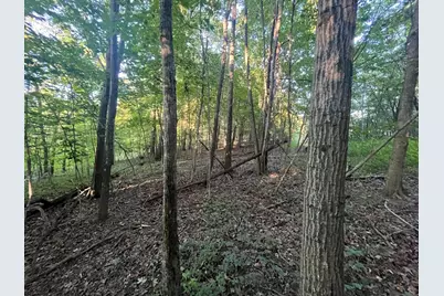 6575 Township Road 137, Rushsylvania, OH 43347 - Photo 40