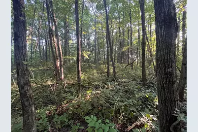 6575 Township Road 137, Rushsylvania, OH 43347 - Photo 56