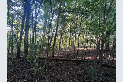 6575 Township Road 137, Rushsylvania, OH 43347 - Photo 16