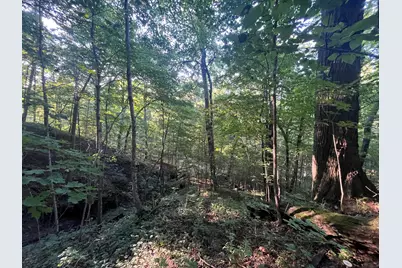 6575 Township Road 137, Rushsylvania, OH 43347 - Photo 22