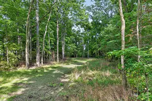 19508 County Road 190 Rd, Kenton, OH 43326 - Photo 90