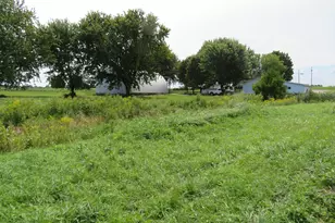 11514 W State Route 29, Conover, OH 45317 - Photo 56