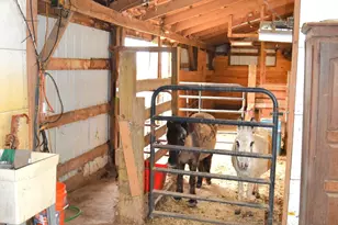 6440 E Miami Shelby Rd, Fletcher, OH 45326 - Photo 80