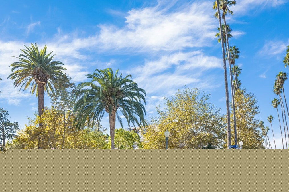 505 Irving Blvd, Los Angeles, CA 90004-1406