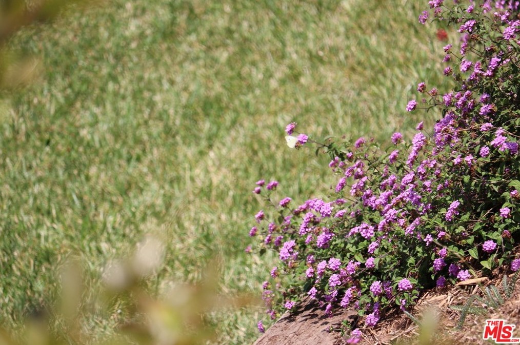 3728 Mullen Pl, Los Angeles CA  90043-1721 exterior