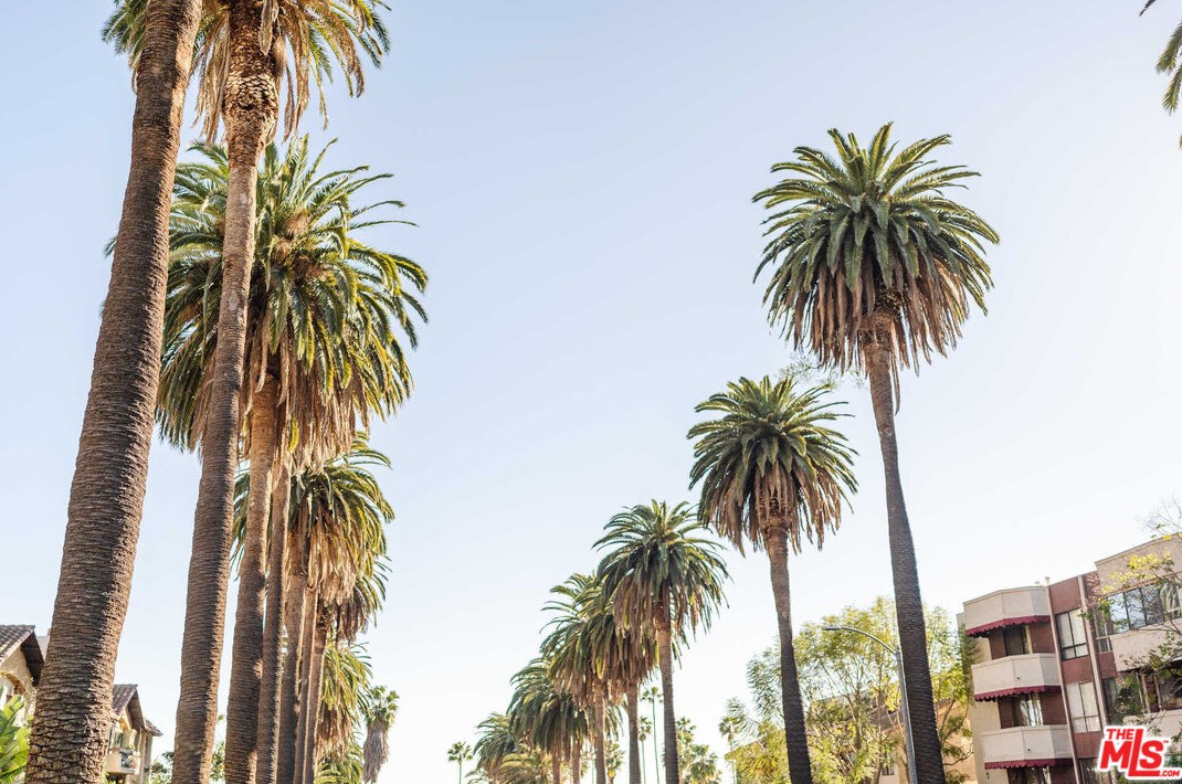 1745 Camino Palmero St, Los Angeles CA  90046-2945 exterior
