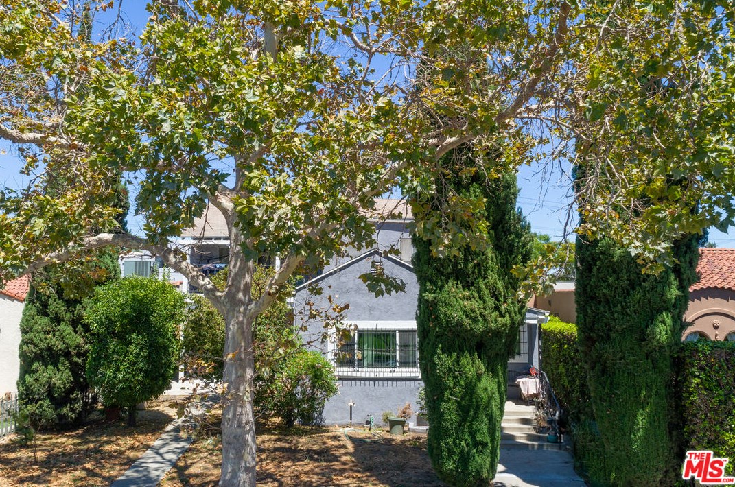 810 Citrus Ave, Los Angeles, CA 90036-4931