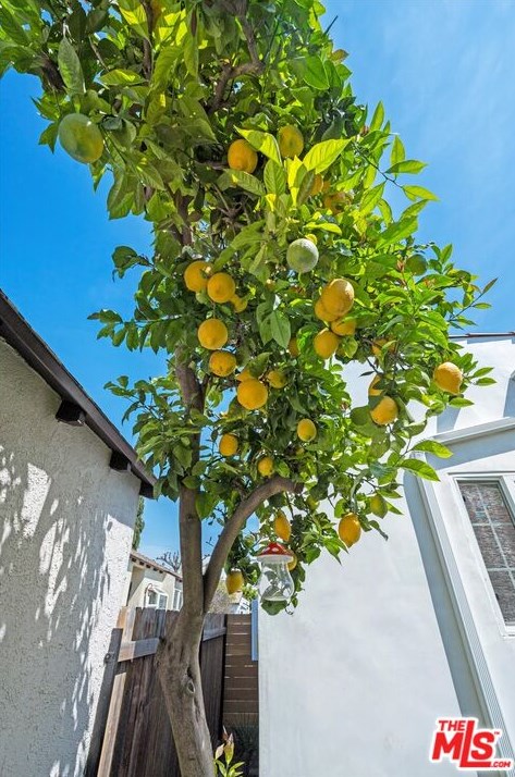 8816 David Ave, Los Angeles CA  90034-2208 exterior