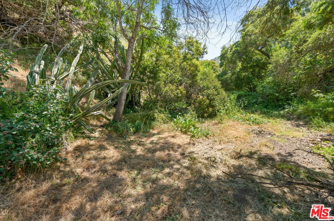 9801 Portola Dr, Beverly Hills CA  90210-1421 exterior