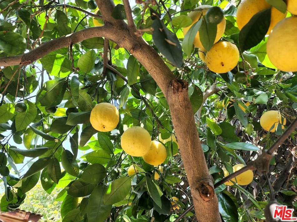 812 Coronado St, Los Angeles CA  90026-3913 exterior