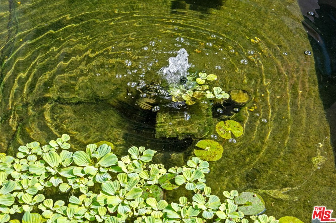 1680 Virginia Rd, Los Angeles CA  90019-5934 exterior