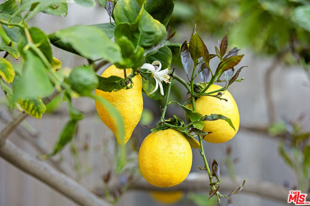 2926 Graceland Way, Glendale CA  91206-1331 exterior