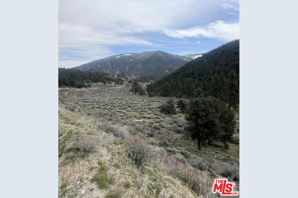 1204 Snowline Dr, Frazier Park, CA 93225 - MLS 24-382035 - Coldwell Banker