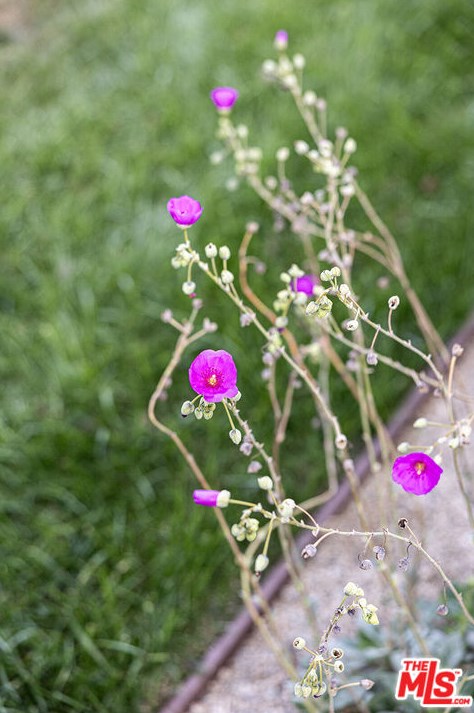 4924 San Rafael Ave, Los Angeles CA  90042-3133 exterior