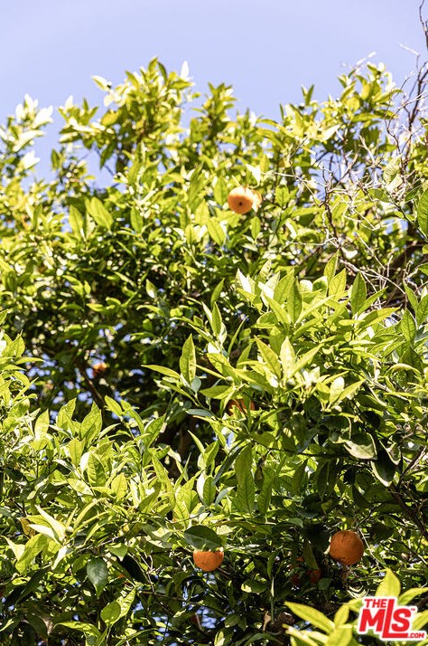 4924 San Rafael Ave, Los Angeles CA  90042-3133 exterior